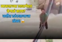 Hardoi Viral Video