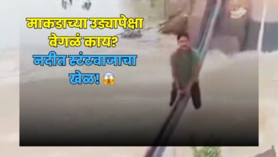 Hardoi Viral Video