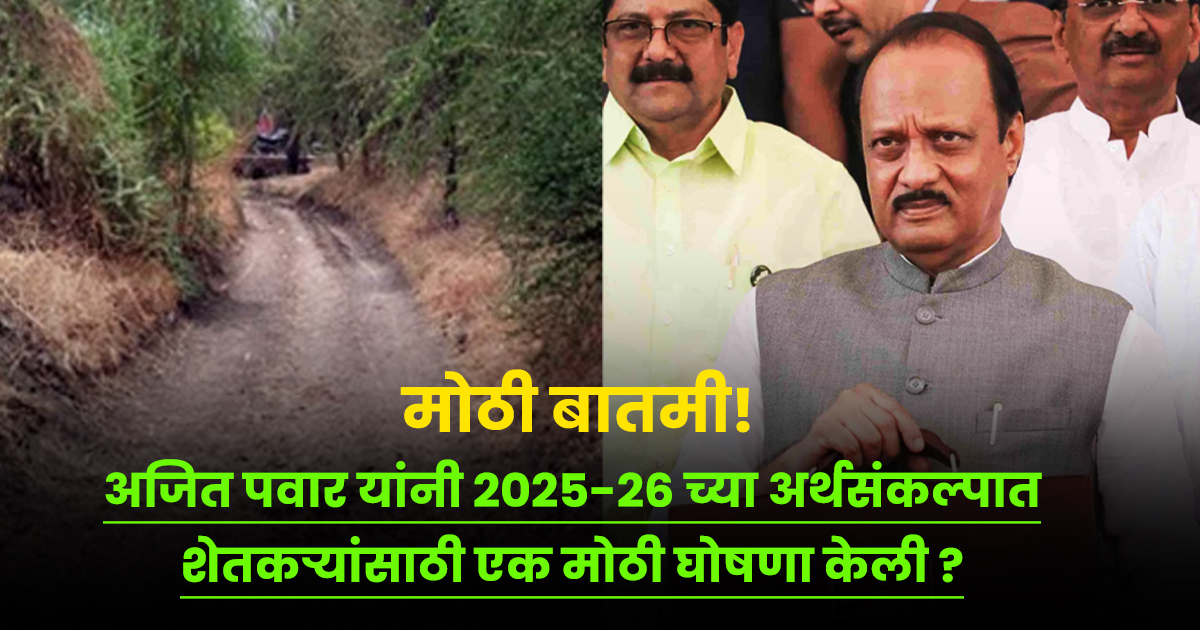 Baliraja Sheti & Panand Raste Yojana